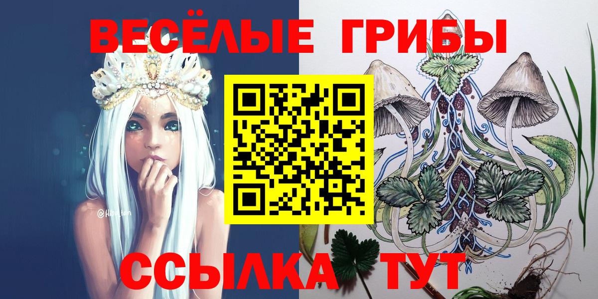 Псилоцибиновые грибы Psilocybe  Вход с VPN  Магнитогорск 